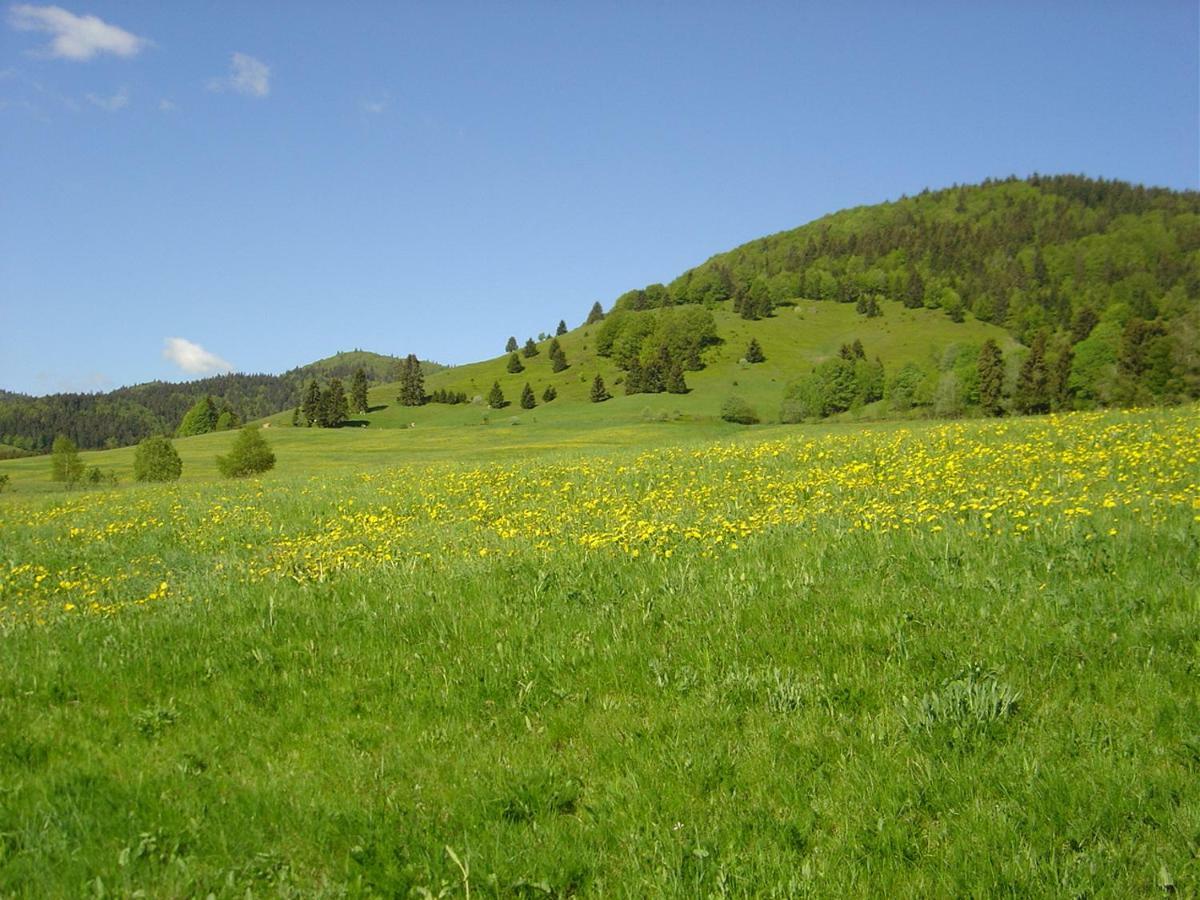 Ferienwohnungen Panoramablick Бернау  Экстерьер фото